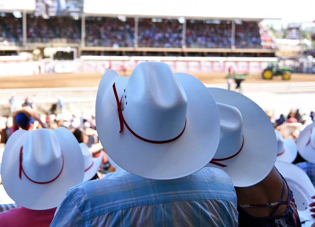 Audience at a rodeo