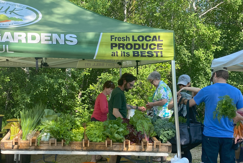 Direct Farm Manitoba shoppers at an outdoor stand in summer